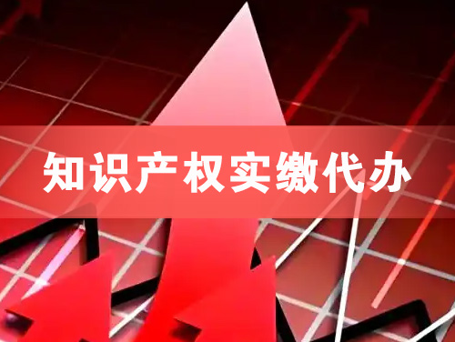 景洪知识产权实缴资本代办